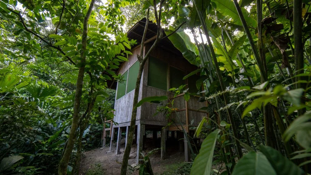 6 day ayahuasca retreat with peruvian shipibo healers in peru61705653669.webp
