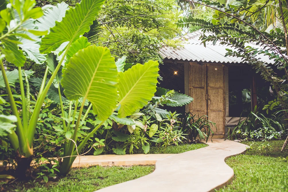 7 Day Surf & Yoga Retreat in Ahangama, Sri Lanka18.webp