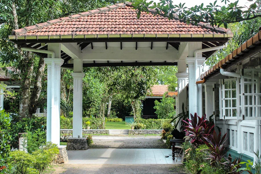 8 Day Cookery, Yoga, and Ayurveda Retreat in Kalutara, Western Province18.webp