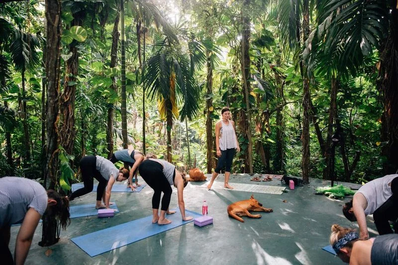 8 Day Private Group Yoga and Surf Camp in Mirissa, Southern Province2.webp