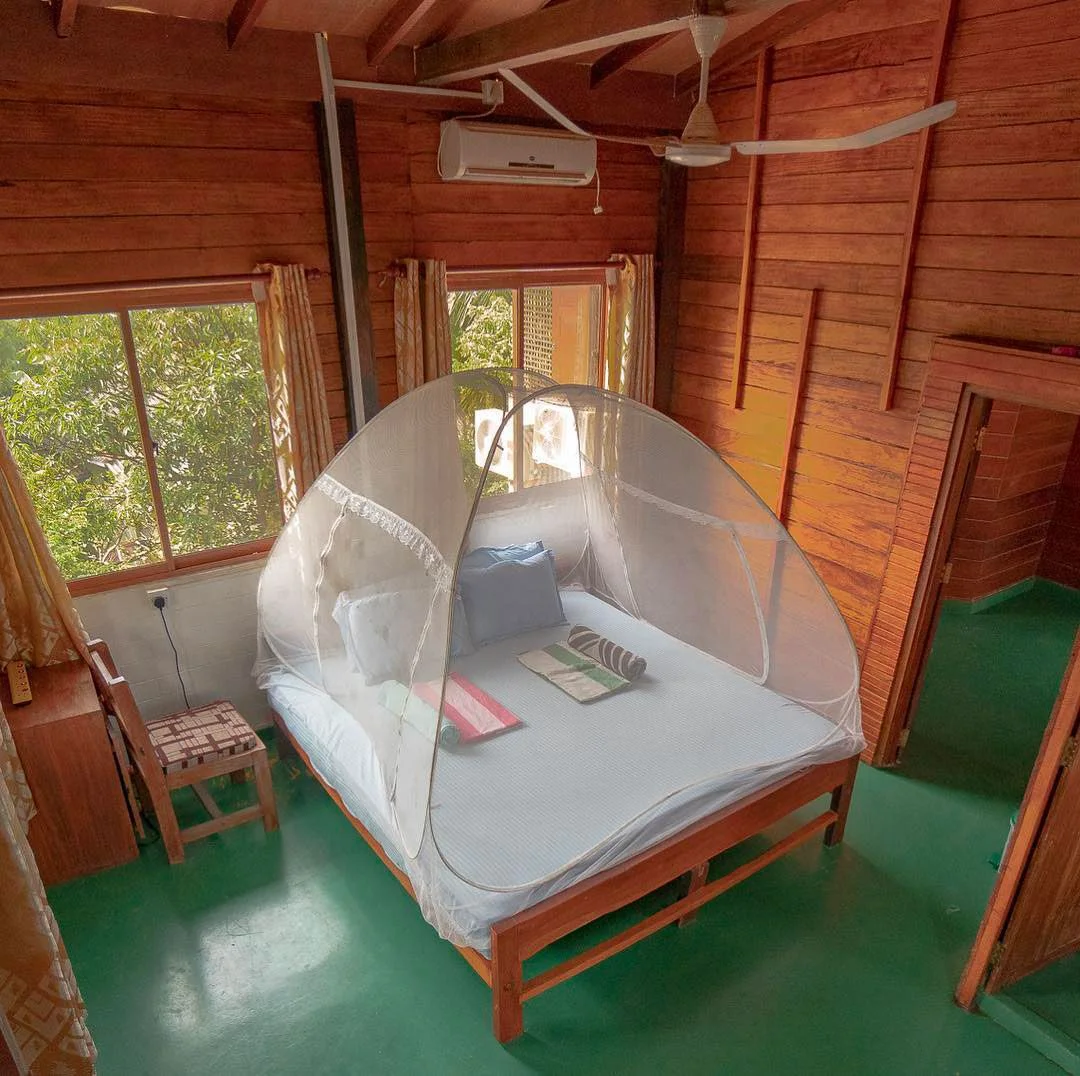 8 Day Private Group Yoga and Surf Camp in Mirissa, Southern Province24.webp