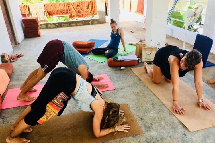 Parimukti Yoga Goa3.webp