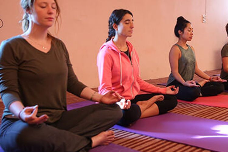 300-hour-yoga-teacher-training-in-rishikesh-advanced-yttc-thumb_image.jpg