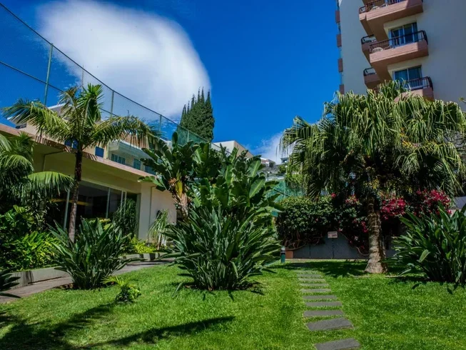 7 day mini camper van rail running holidays in madeira island, portugal111713781800.webp