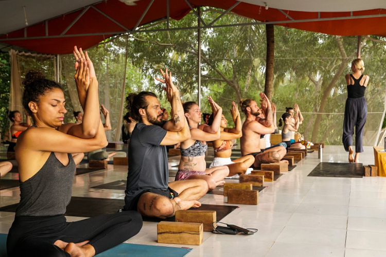 200 Hours Hatha Yoga Teacher Training Course.webp