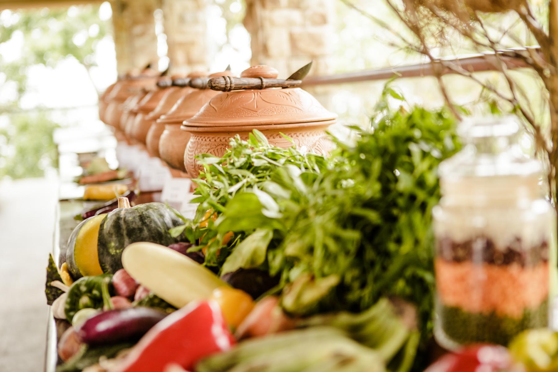 12 days ayurveda retreat141717577943.jpg