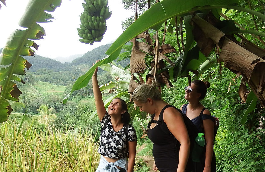 6 days awakening yoga holiday package51717676230.jpeg