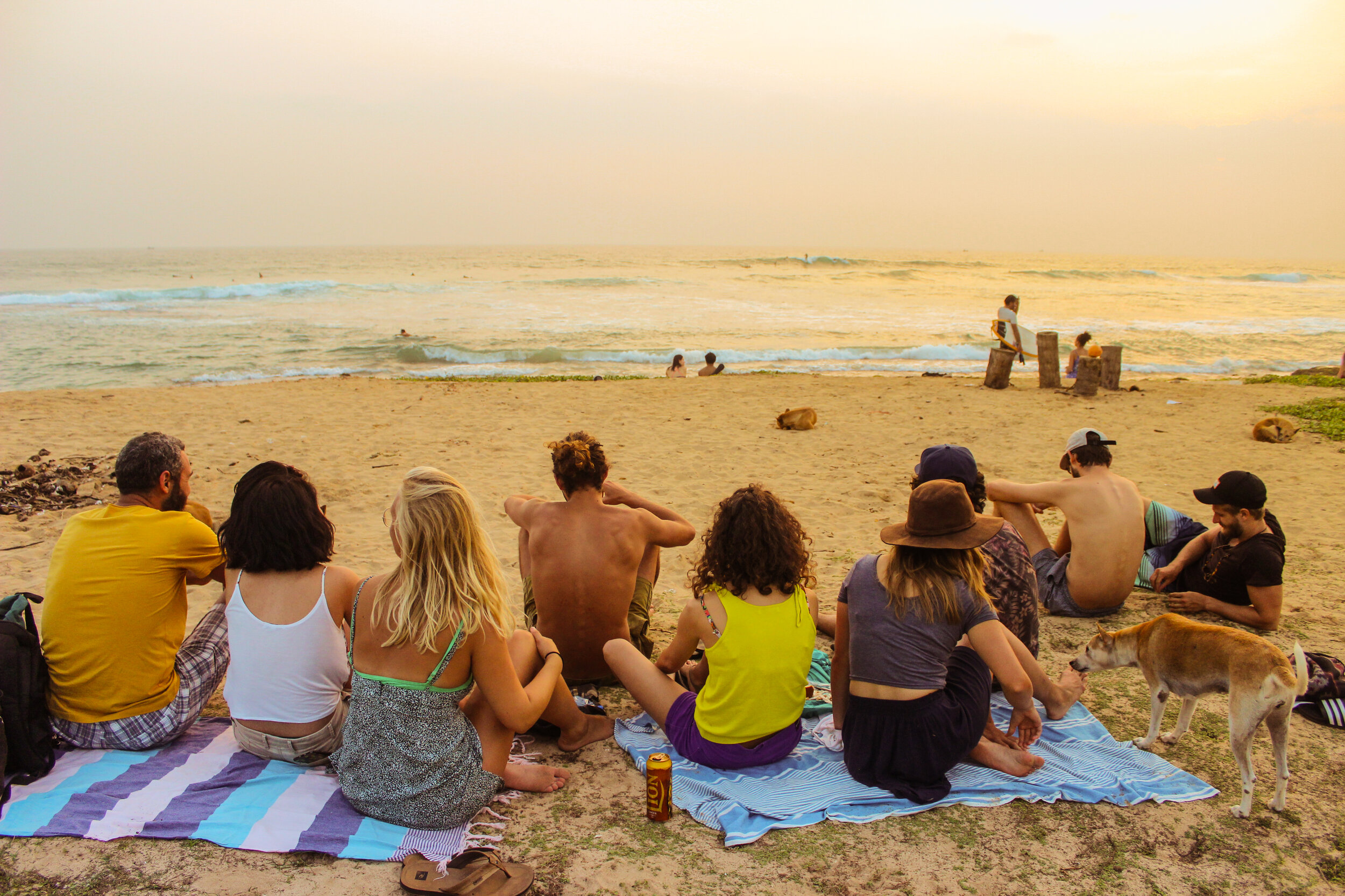8 day beginner and intermediate yoga and surf camp in ahangama southern province181718014311.jpg