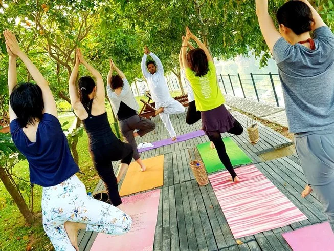 experiences/2024/06/12/8 day ts2 yoga and surf camp in weligama southern province171718194788.webp