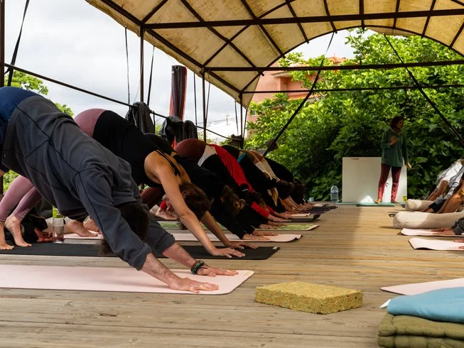 18 Day 200 Hour Hatha and Vinyasa Yoga Teacher Training Course in La Casa Shambala, Monchique, Portugal19.webp
