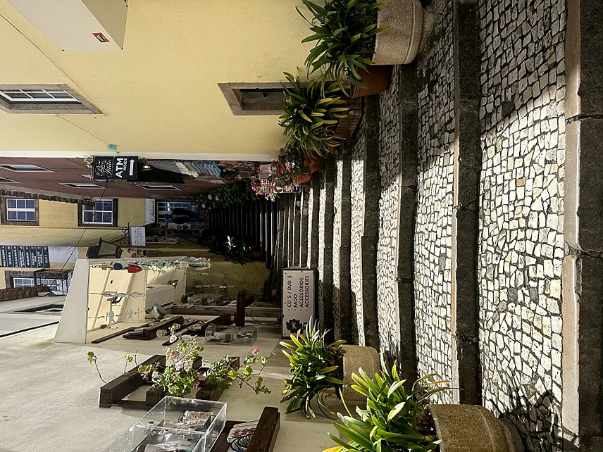 6 Day Surf & Yoga Retreat in Sintra, Portugal1.webp
