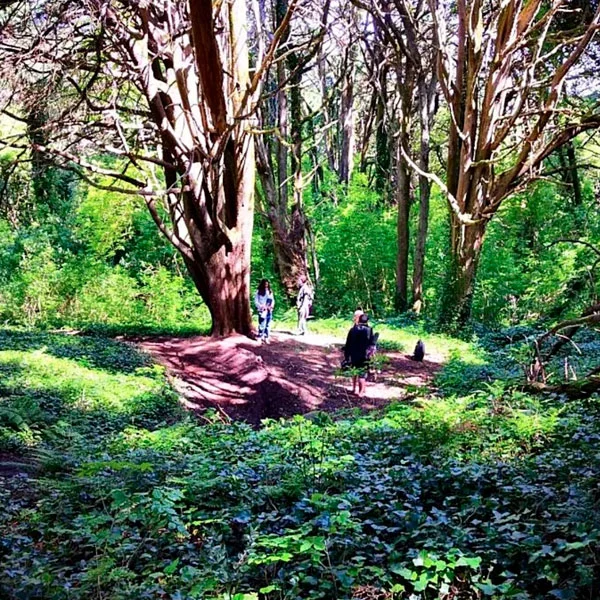 6 Day Surf & Yoga Retreat in Sintra, Portugal42.webp