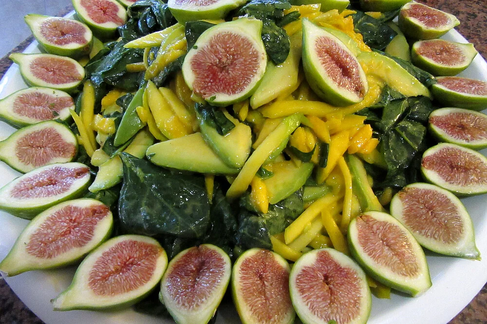 6 Day Xmas and New Year Yoga & Surf Pack Retreat in Ericeira, Portugal10.webp