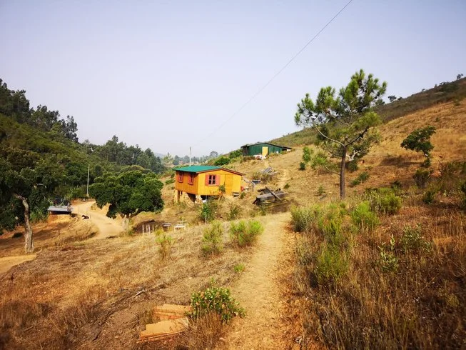7 Day Soulful Yoga Retreat in Odeceixe, SW Portugal9.webp
