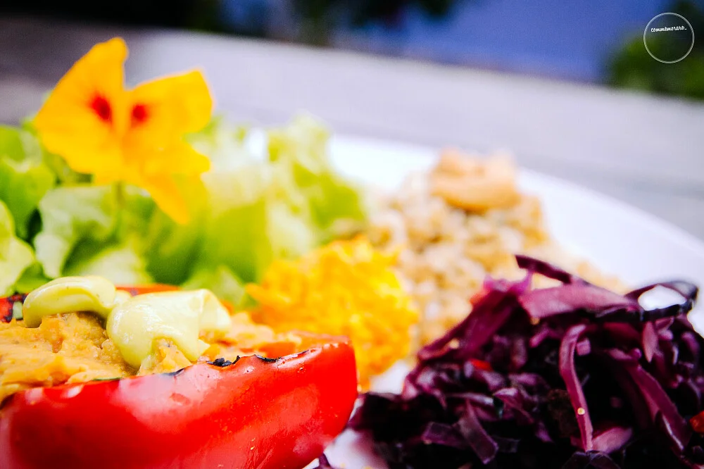 8 Day Yoga Recharge & Relax Experience in Ericeira, Portugal13.webp