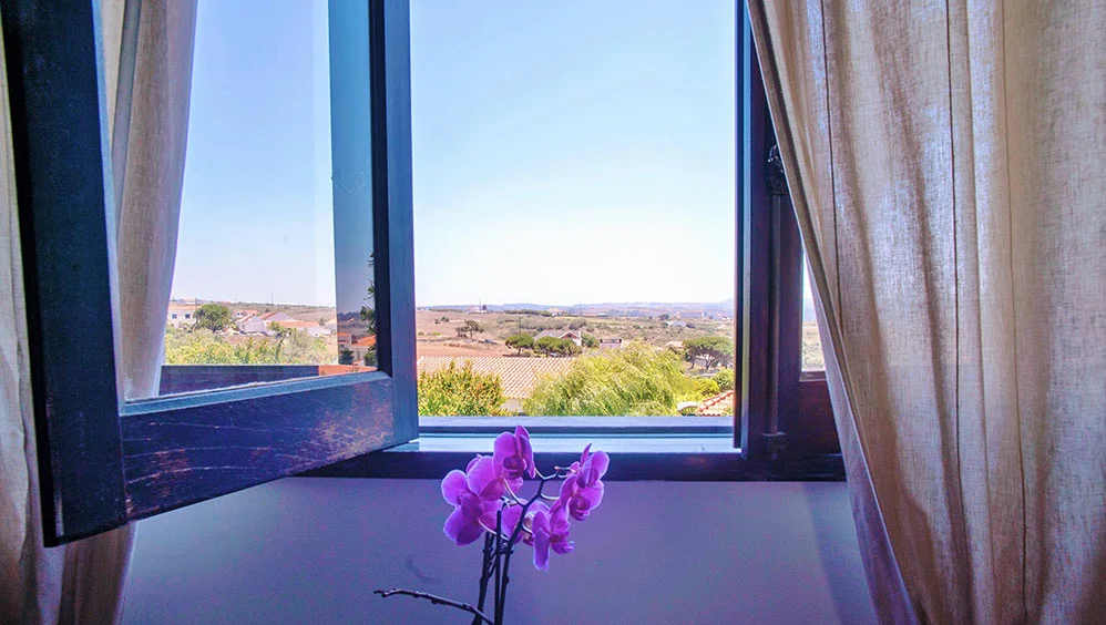 8 Day Yoga Recharge & Relax Experience in Ericeira, Portugal50.webp