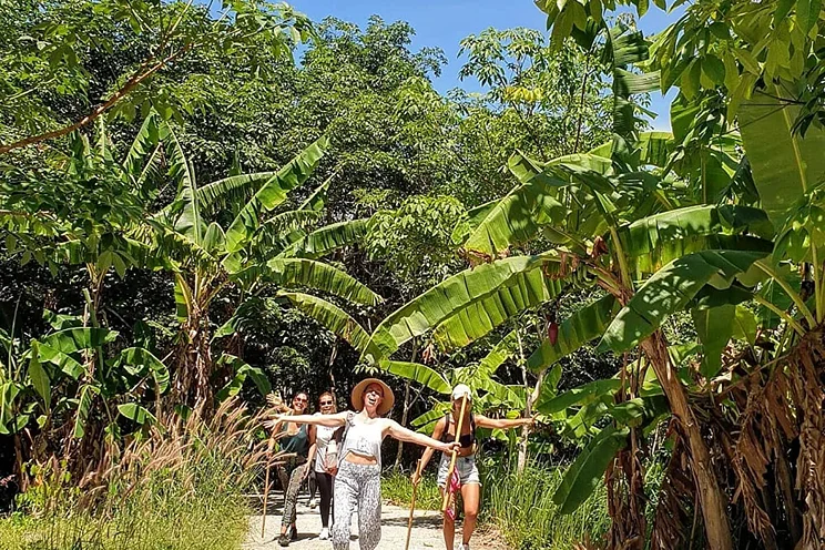 12 Day Rejuvenating Wellness and Yoga Retreat in Phuket (6).webp
