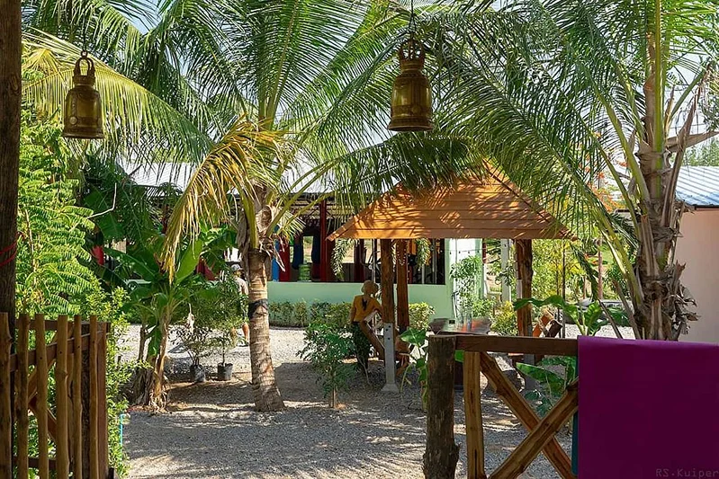 12 Day Wellness Package, Yoga, Detox, Meditation, Temples, CrossFit, Adventure, Thailand (4).webp