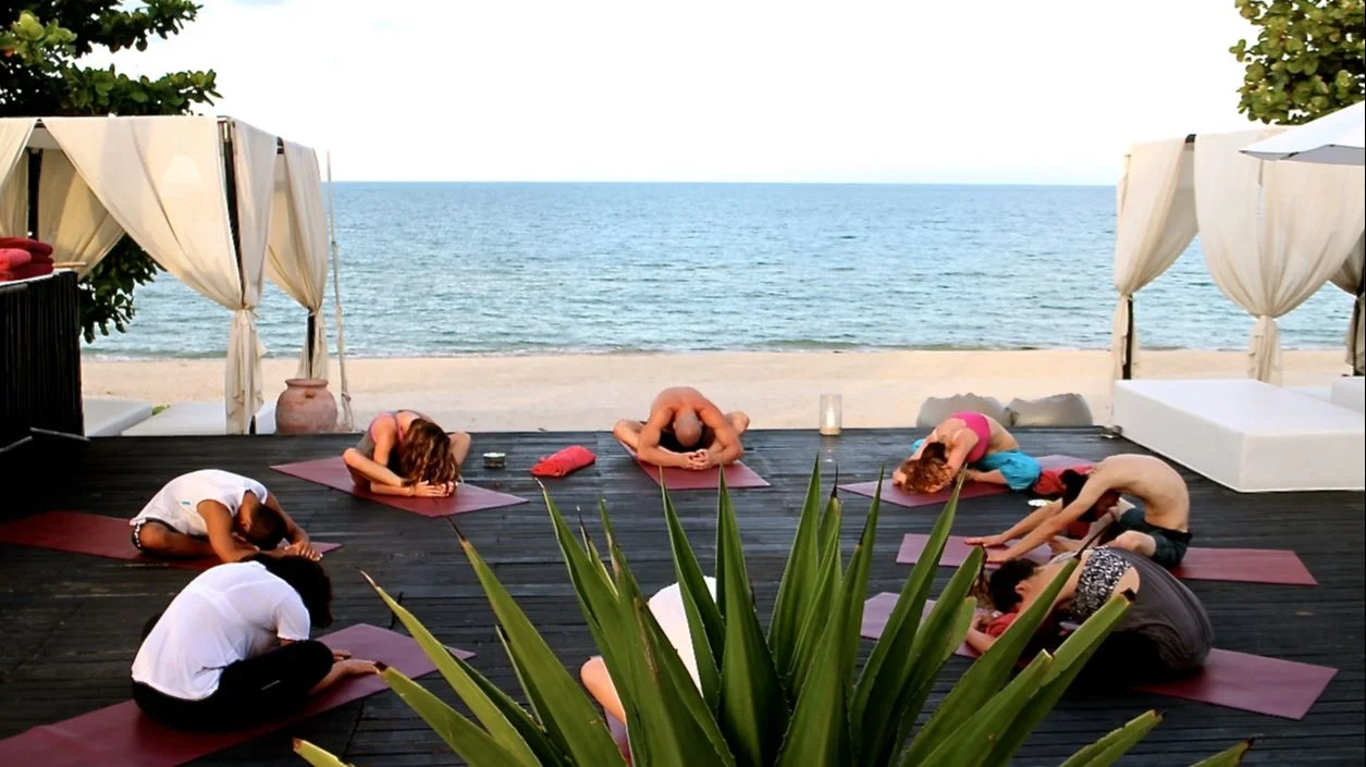 22 Day 200-Hour Yoga Teacher Training on Paradise Beach in Khanom (12).webp