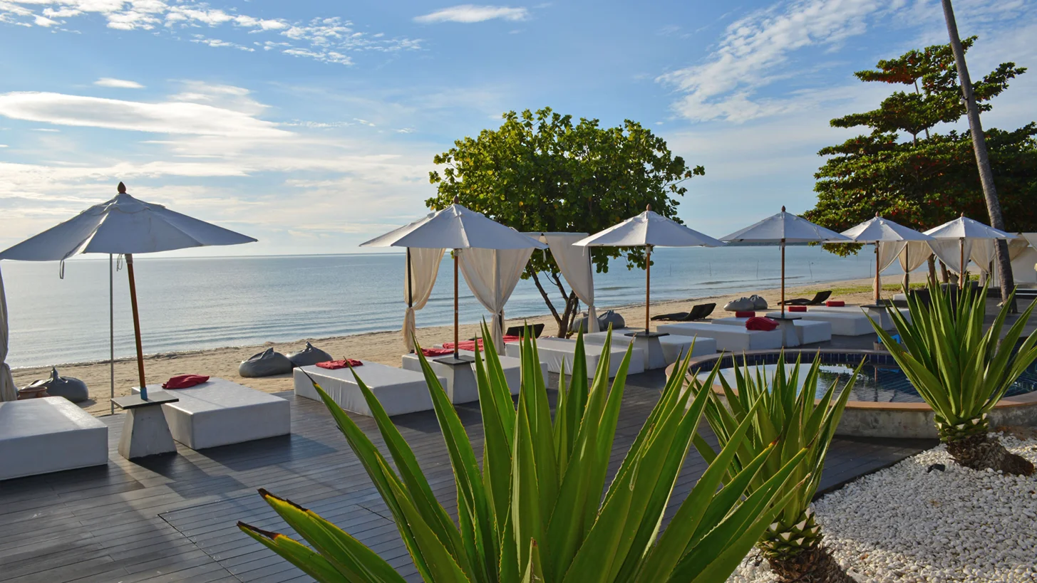 22 Day 200-Hour Yoga Teacher Training on Paradise Beach in Khanom (7).webp
