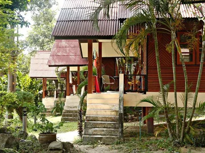 22 Day Yoga, Art, Dancing & Celebration in Koh Pha Ngan, Thailand (1) (1).webp