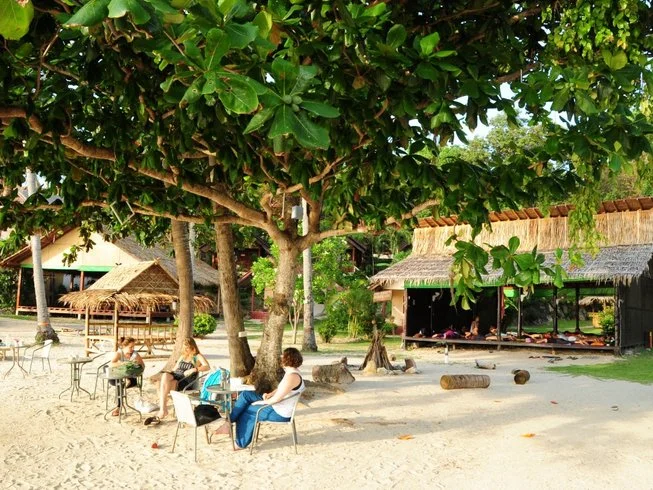 22 Day Yoga, Art, Dancing & Celebration in Koh Pha Ngan, Thailand (17) (1).webp