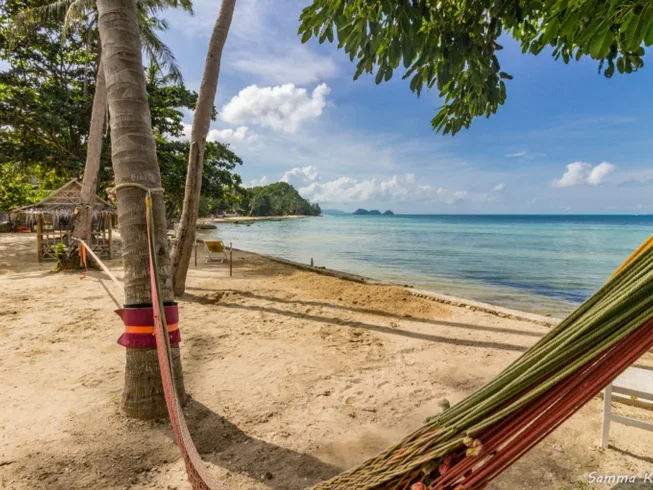 22 Day Yoga, Art, Dancing & Celebration in Koh Pha Ngan, Thailand (24) (1).webp