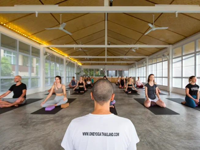 26 Day Postgraduate Diploma Course in Yogic Science and Ayurveda in Koh Phangan, Surat Thani (13).webp