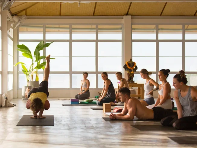 26 Day Postgraduate Diploma Course in Yogic Science and Ayurveda in Koh Phangan, Surat Thani (15).webp
