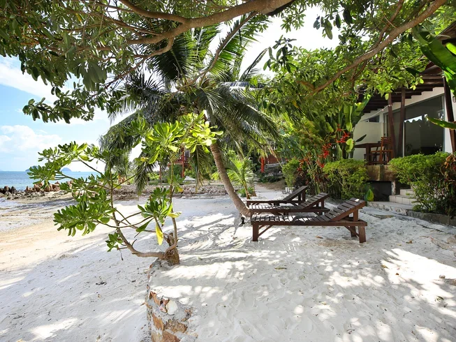 26 Day Postgraduate Diploma Course in Yogic Science and Ayurveda in Koh Phangan, Surat Thani (25).webp