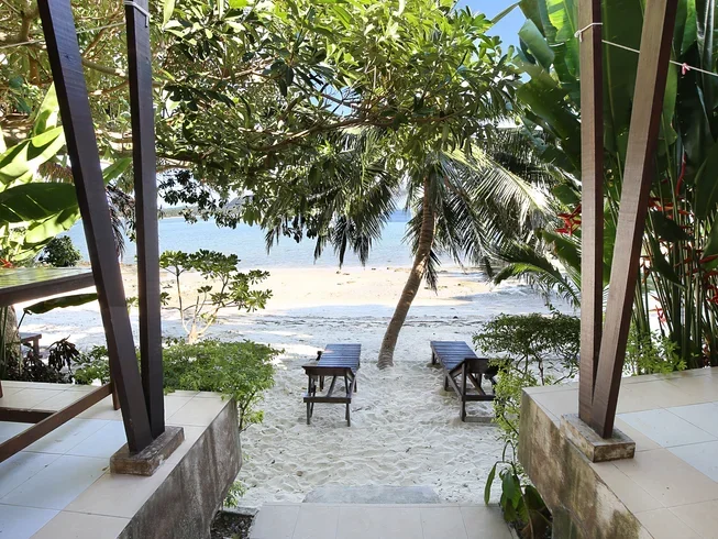 26 Day Postgraduate Diploma Course in Yogic Science and Ayurveda in Koh Phangan, Surat Thani (26).webp