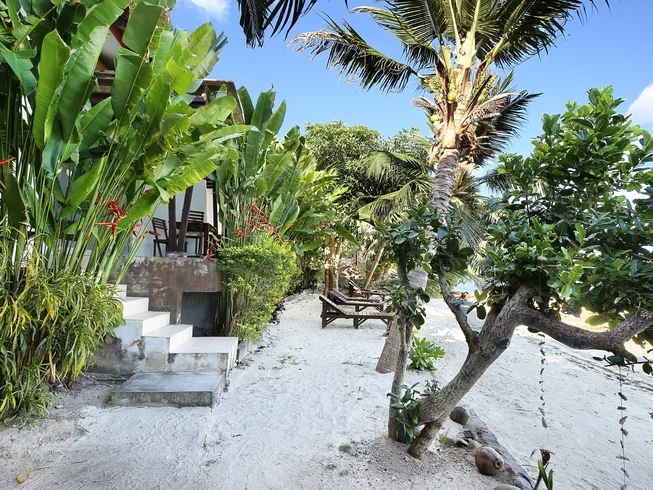 26 Day Postgraduate Diploma Course in Yogic Science and Ayurveda in Koh Phangan, Surat Thani (43).webp