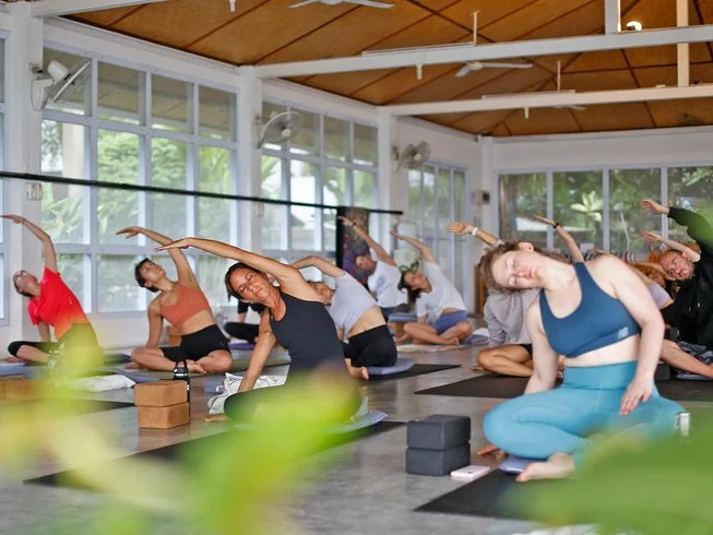 26 Day Postgraduate Diploma Course in Yogic Science and Ayurveda in Koh Phangan, Surat Thani (7).webp