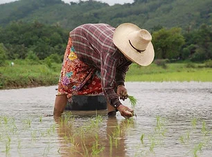 4 Day Digital Detox and Mindfulness Retreat, Thailand (6).webp