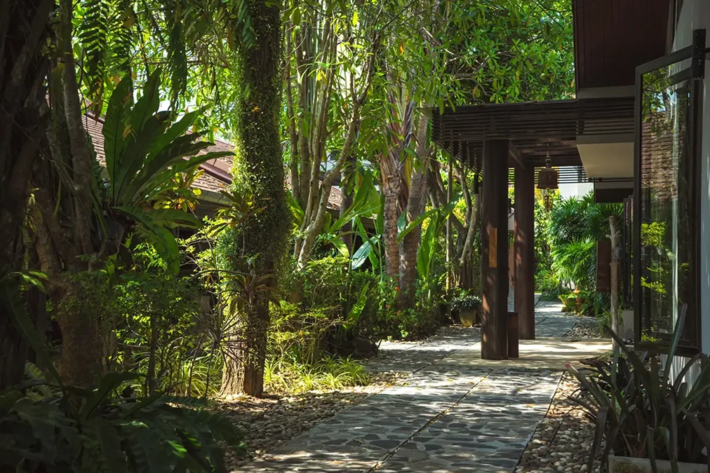 4 Day Fitness and Yoga Retreat in Koh Samui, Surat Thani (15) (1).webp
