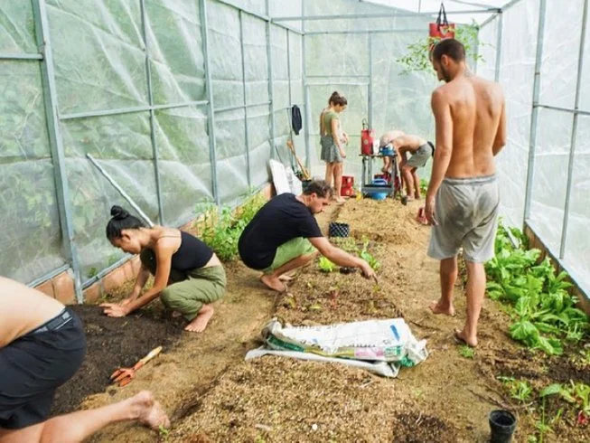 7 Day “The Earth” Nature Therapy and Yoga Retreat in Koh Phangan (9).webp