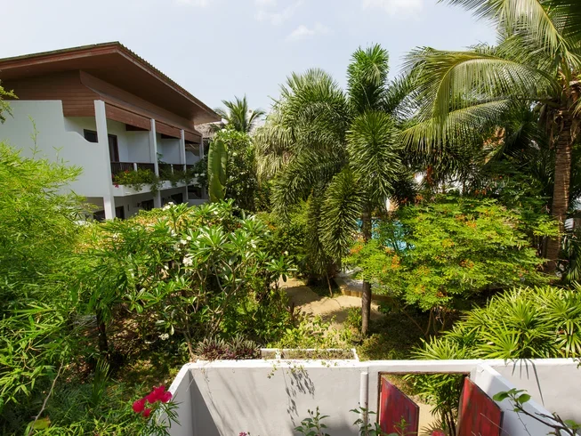 7 Day Koh Samui Beginners Yoga Program in Surat Thani (4) (1).webp