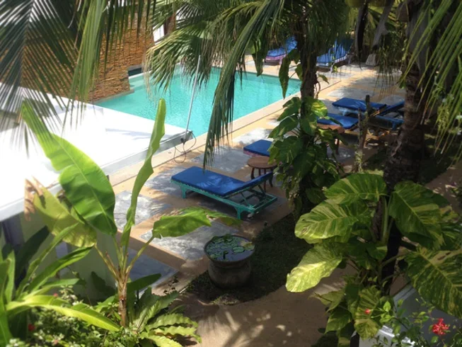7 Day Koh Samui Beginners Yoga Program in Surat Thani (7) (1).webp