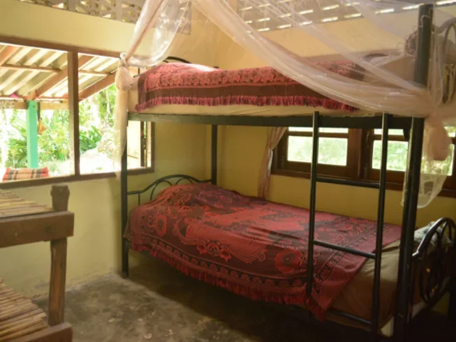 8 Day Yoga and the Taste of Thailand Holiday With Cooking in the Jungle of Paksong, Chumpon (11).webp