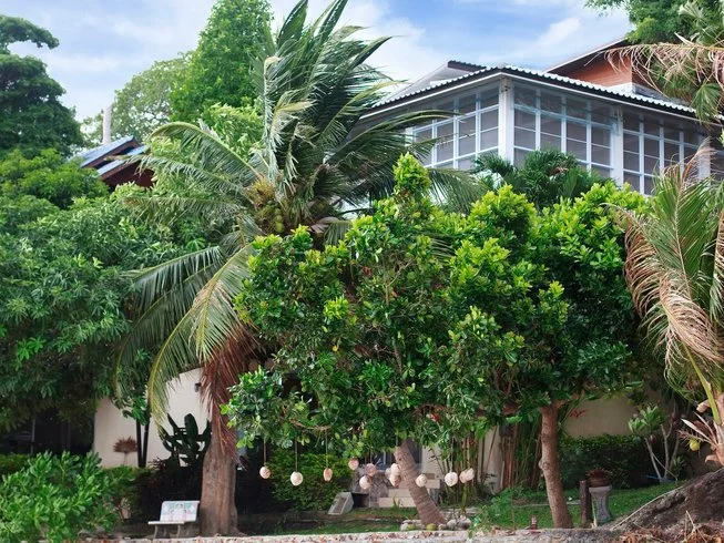 Self-Paced 50-Hour The Roots, Elements, and Nature Yoga Training For Women in Koh Phangan, Thailand (18).webp