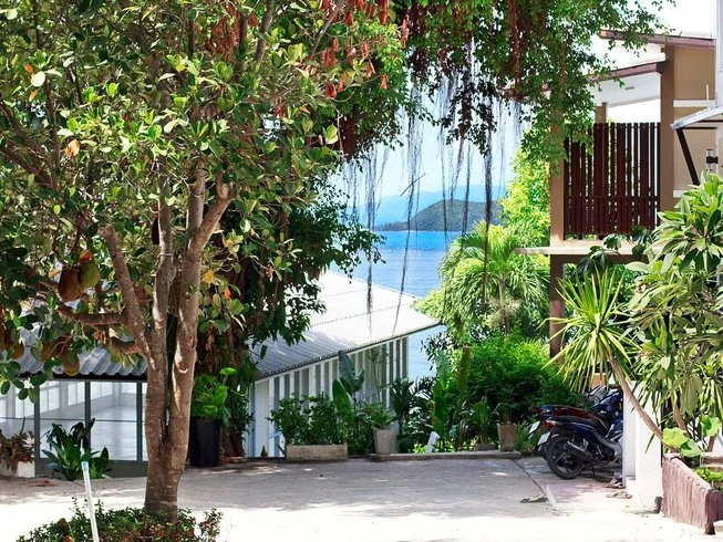 Self-Paced 50-Hour The Roots, Elements, and Nature Yoga Training For Women in Koh Phangan, Thailand (23).webp