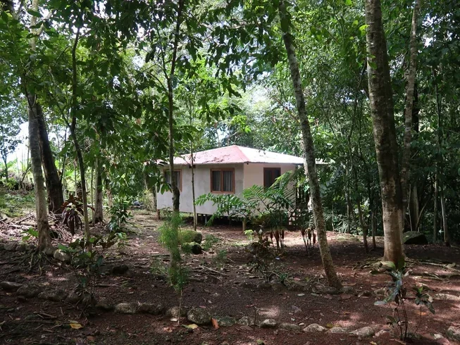 5 Day Yoga Retreat to Explore the Secrets of the Feminine Cycle, Costa Rica (10).webp
