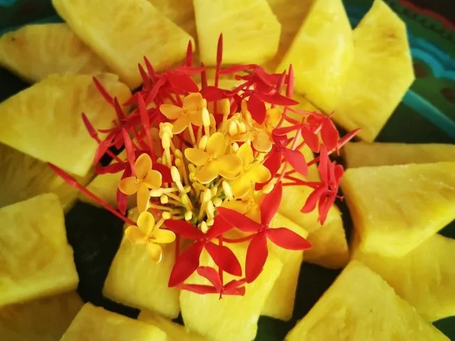 5 Day Yoga Retreat to Explore the Secrets of the Feminine Cycle, Costa Rica (13).webp
