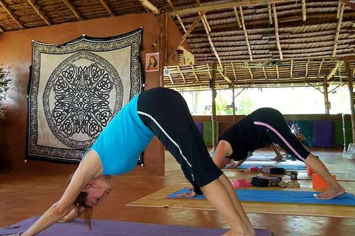 7 Day 50-hour Traditional Hatha, Meditation and Intro in Vinyasa, Yin, and Restorative Yoga in Krabi (4).webp