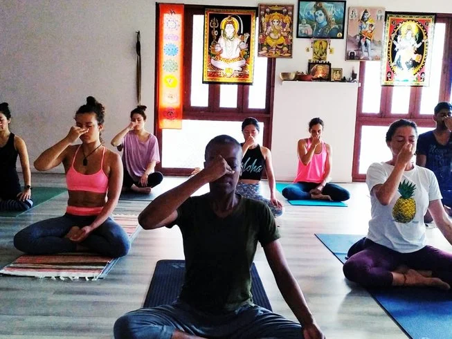 experiences/2024/11/12/28 day 200hour ashtanga yoga teacher training in phuket 11731407944.webp