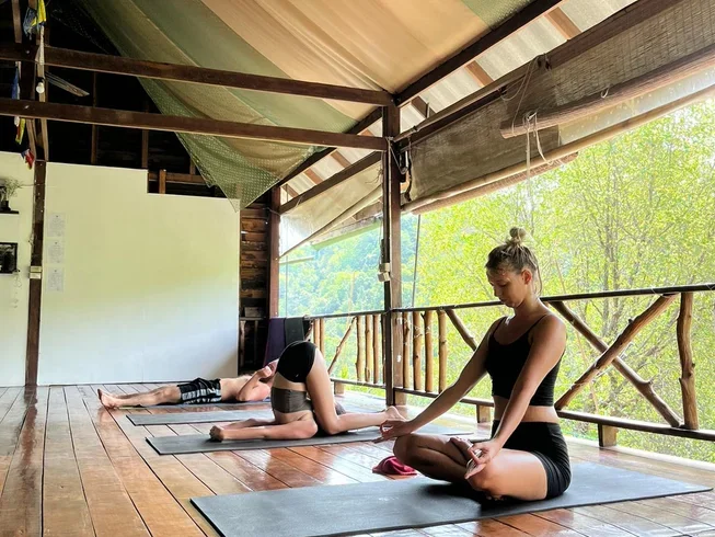 experiences/2024/11/13/29 day 200hour ashtanga vinyasa yoga teacher training in koh phangan 3 21731489744.webp