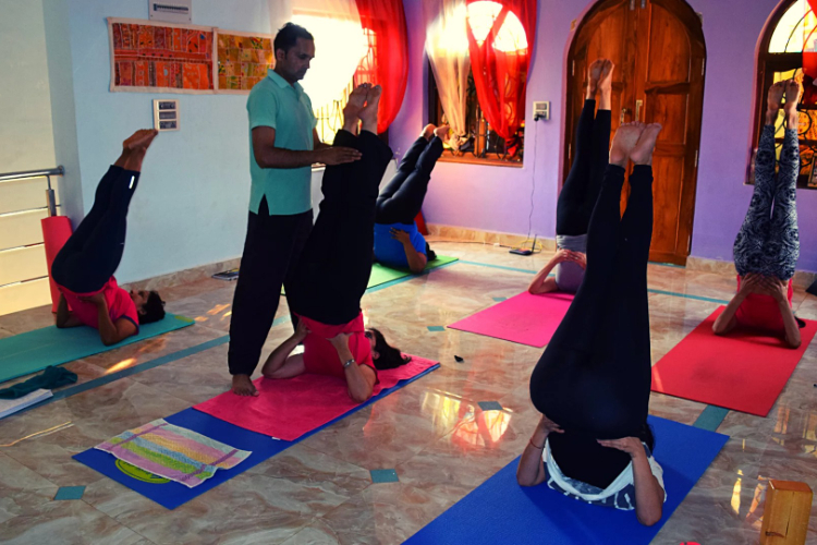 Vishuddhi Yoga School Goa.jpg