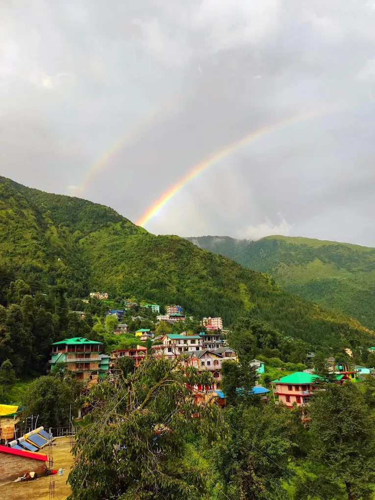 alpesh yoga dharamshala 101751460918.webp