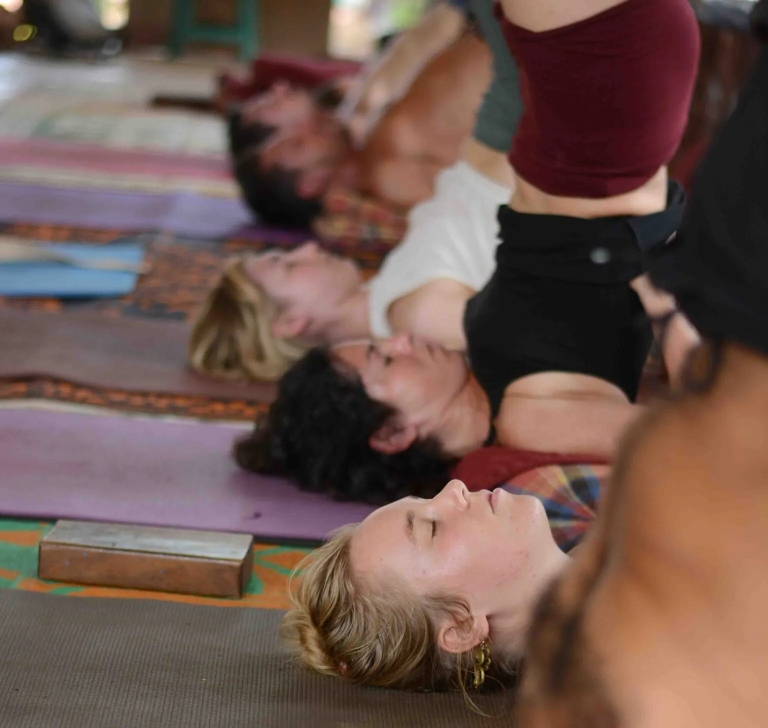 alpesh yoga dharamshala 211751460919.webp