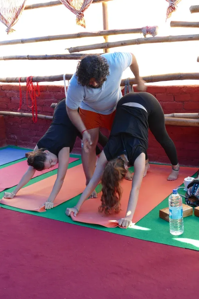 alpesh yoga dharamshala 231751459371.webp